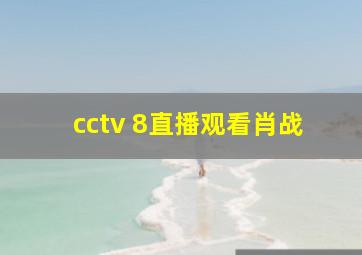 cctv 8直播观看肖战